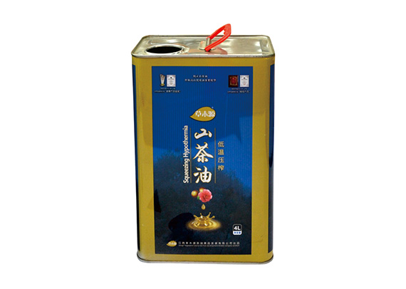 3L rectangular seeds oil containner DADI